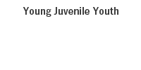 Young Juvenile Youth
